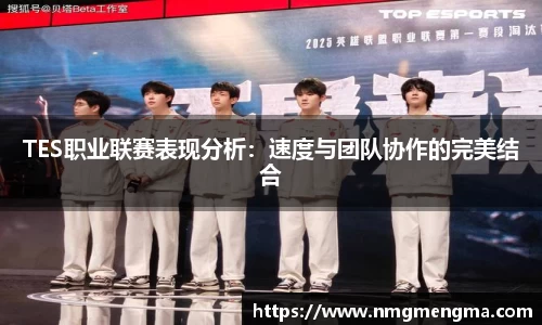 TES职业联赛表现分析：速度与团队协作的完美结合