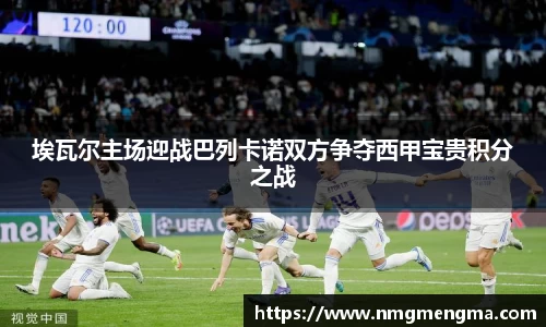 关键词4