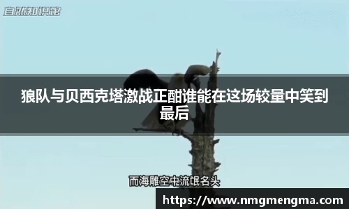狼队与贝西克塔激战正酣谁能在这场较量中笑到最后